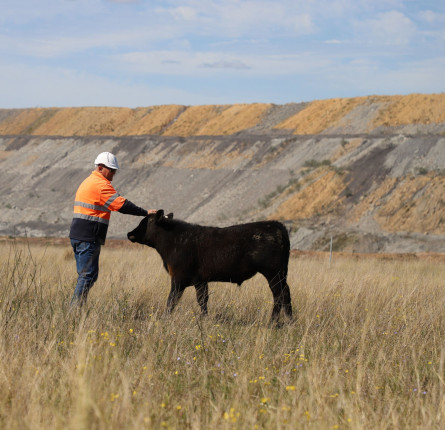 Pasture Restoration Field Day