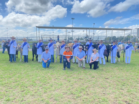 Cattle clinic presentation – Maitland Show